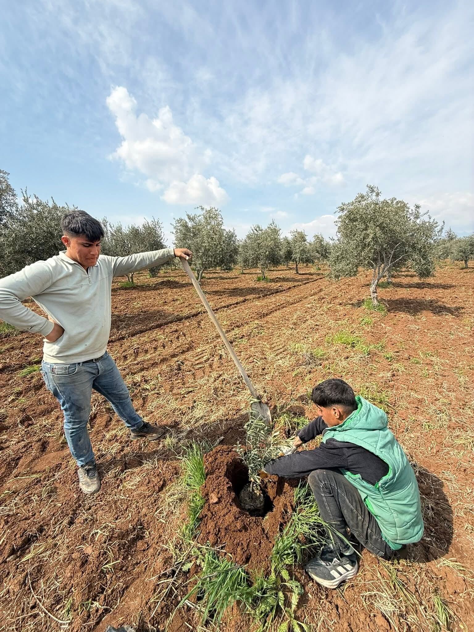 silopili üreticiler