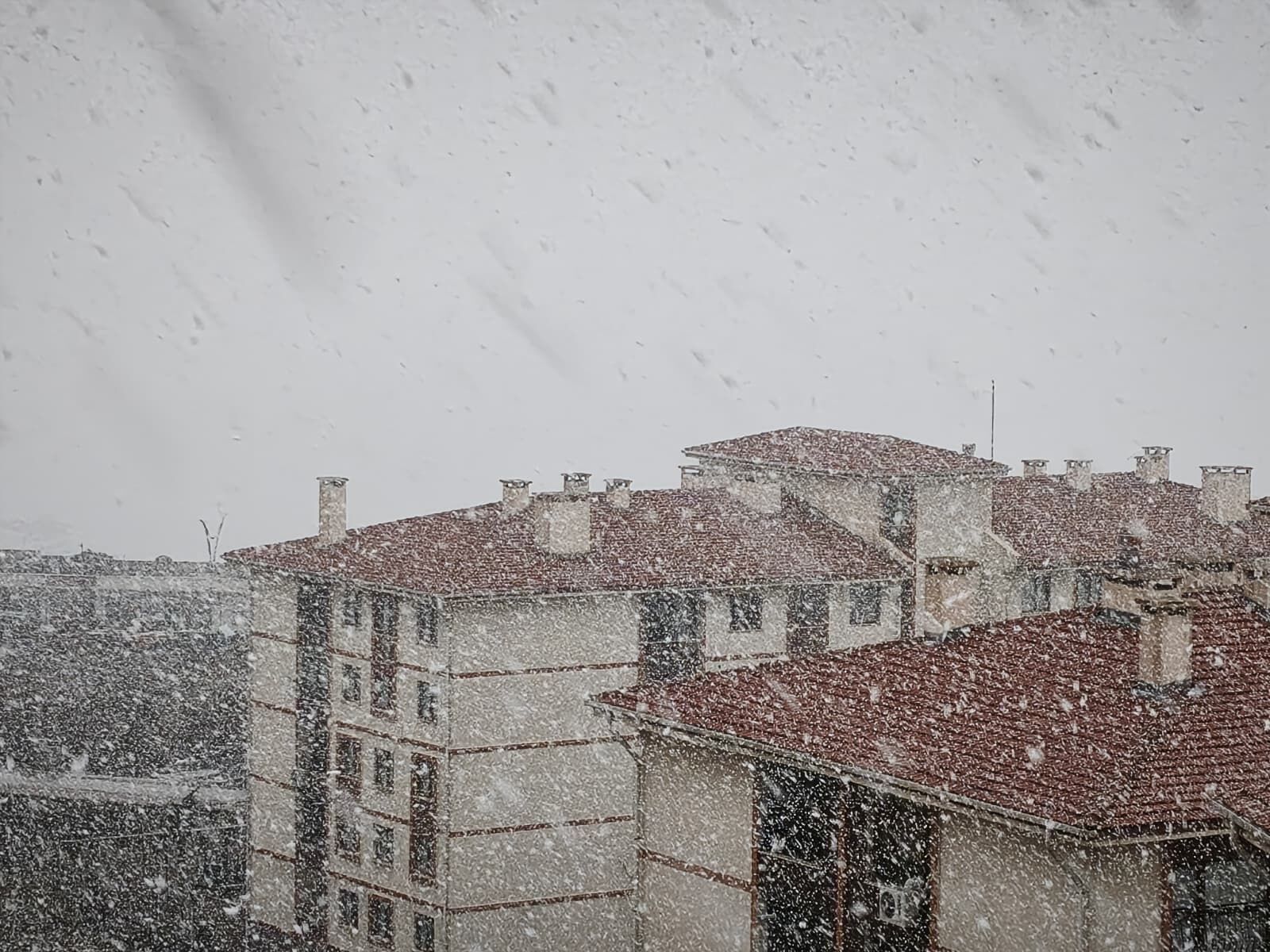 Whatsapp Image 2026 03 07 At 17.04.20