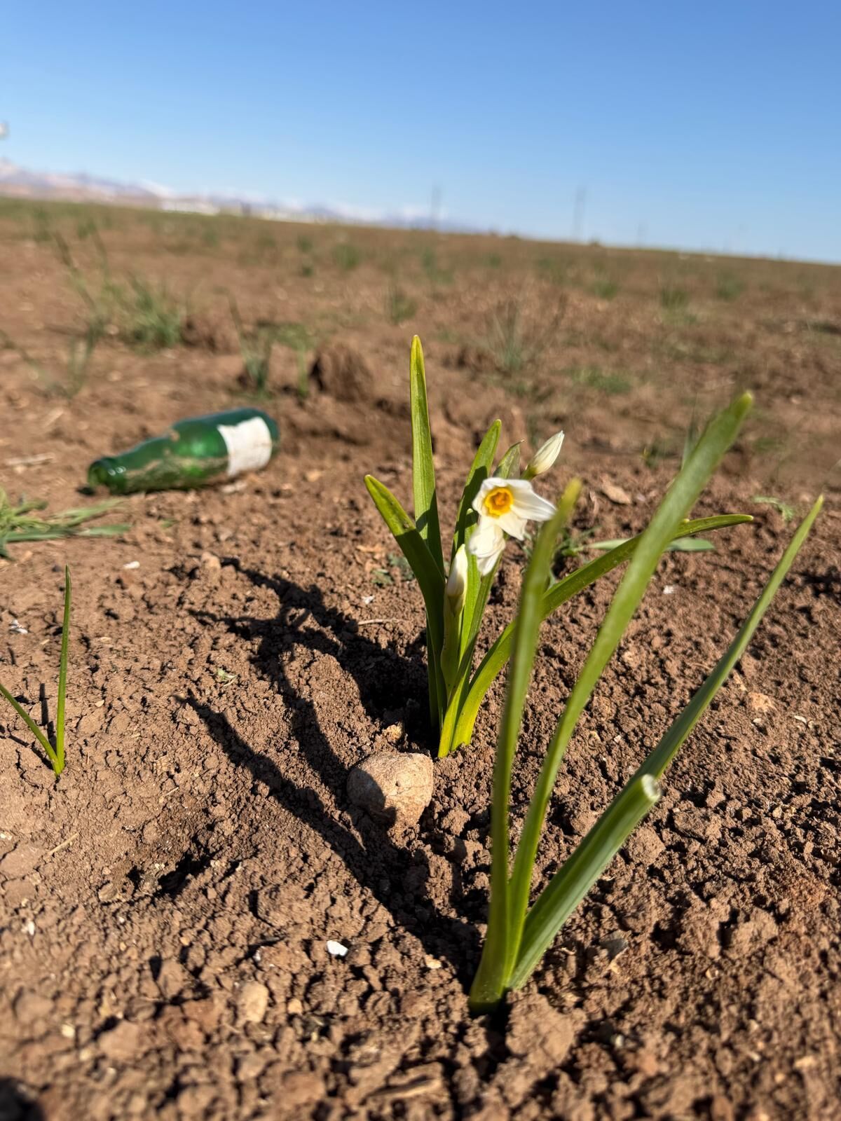 çevreci fadıl tay-2