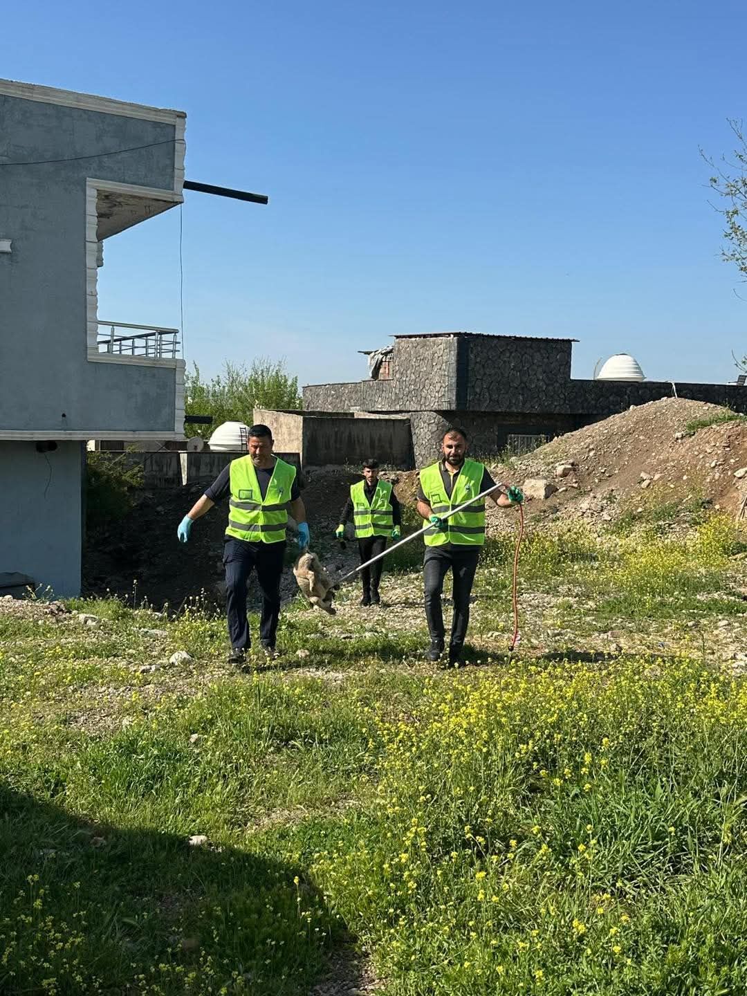 Başverimli Hayvan 6