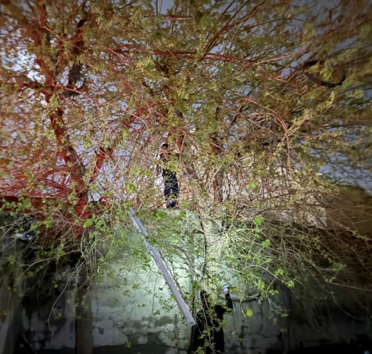 Cizre'de film gibi kurtarma operasyonu