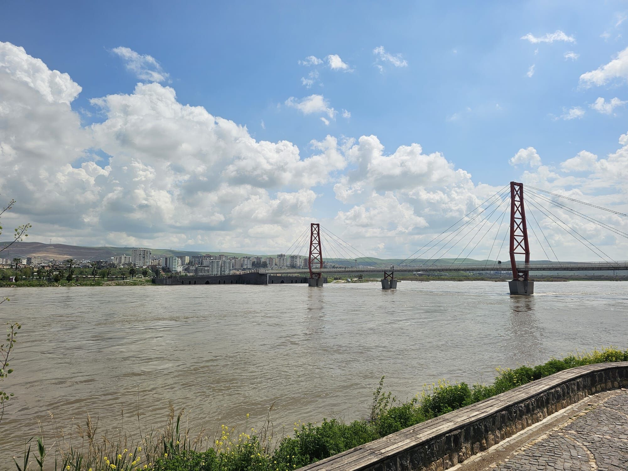 I M G 20260423 W A0020