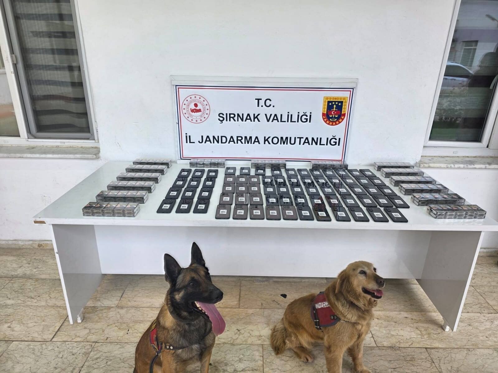 Jandarma Operasyonu 4