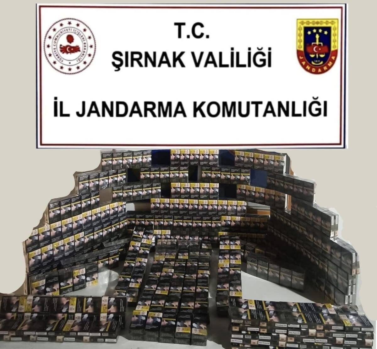 Jandarma Operasyonu 9