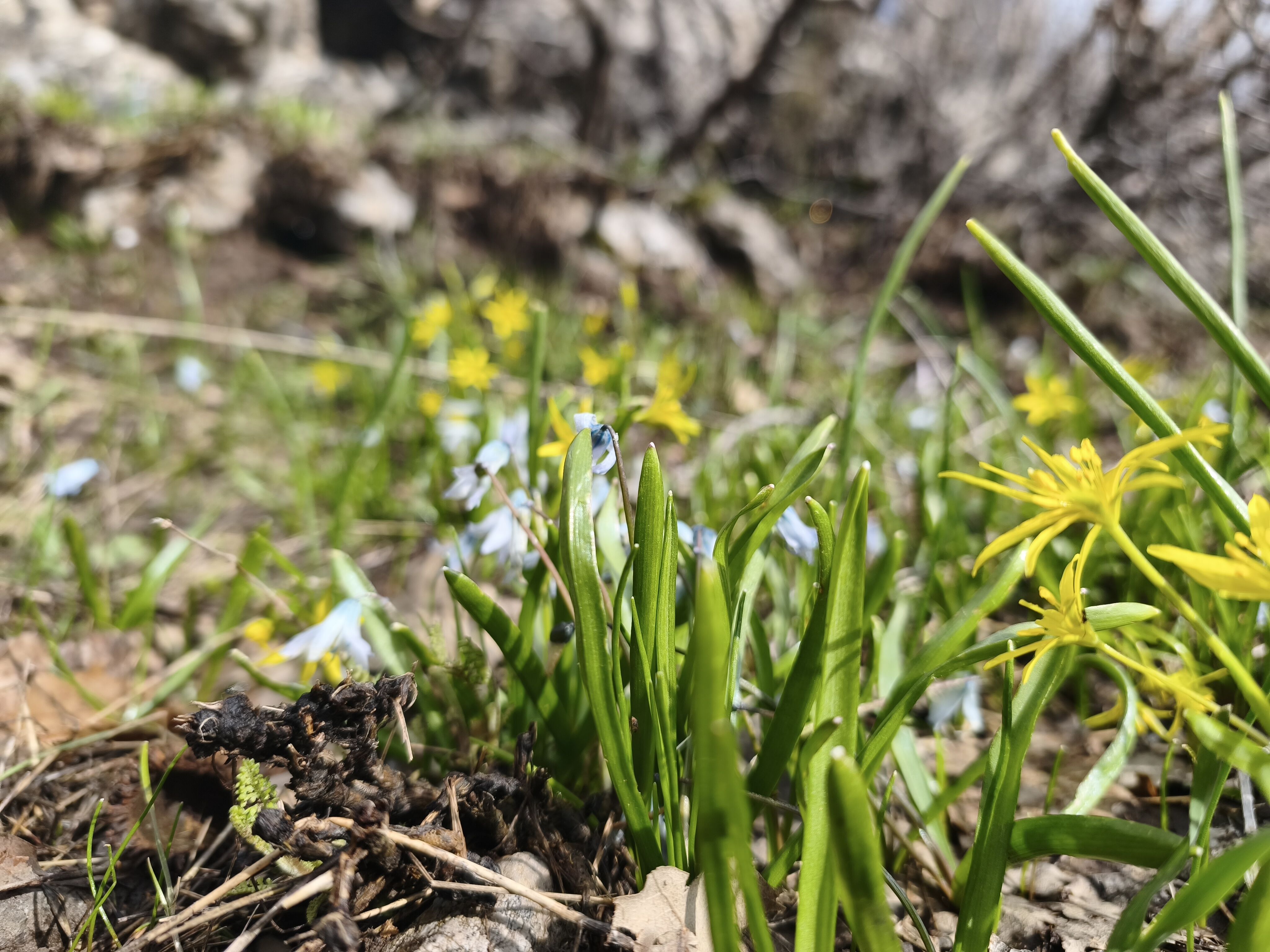 M V I M G 20260421 155000