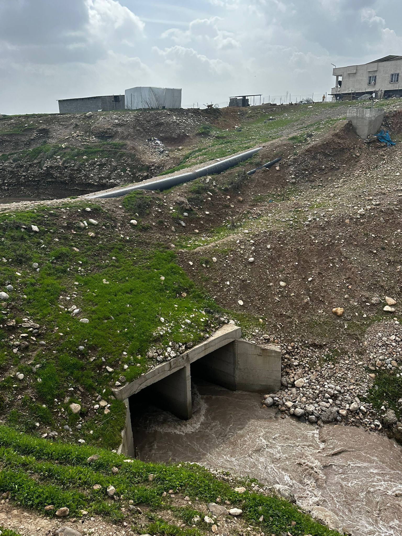 Whatsapp Image 2026 04 05 At 14.24.29