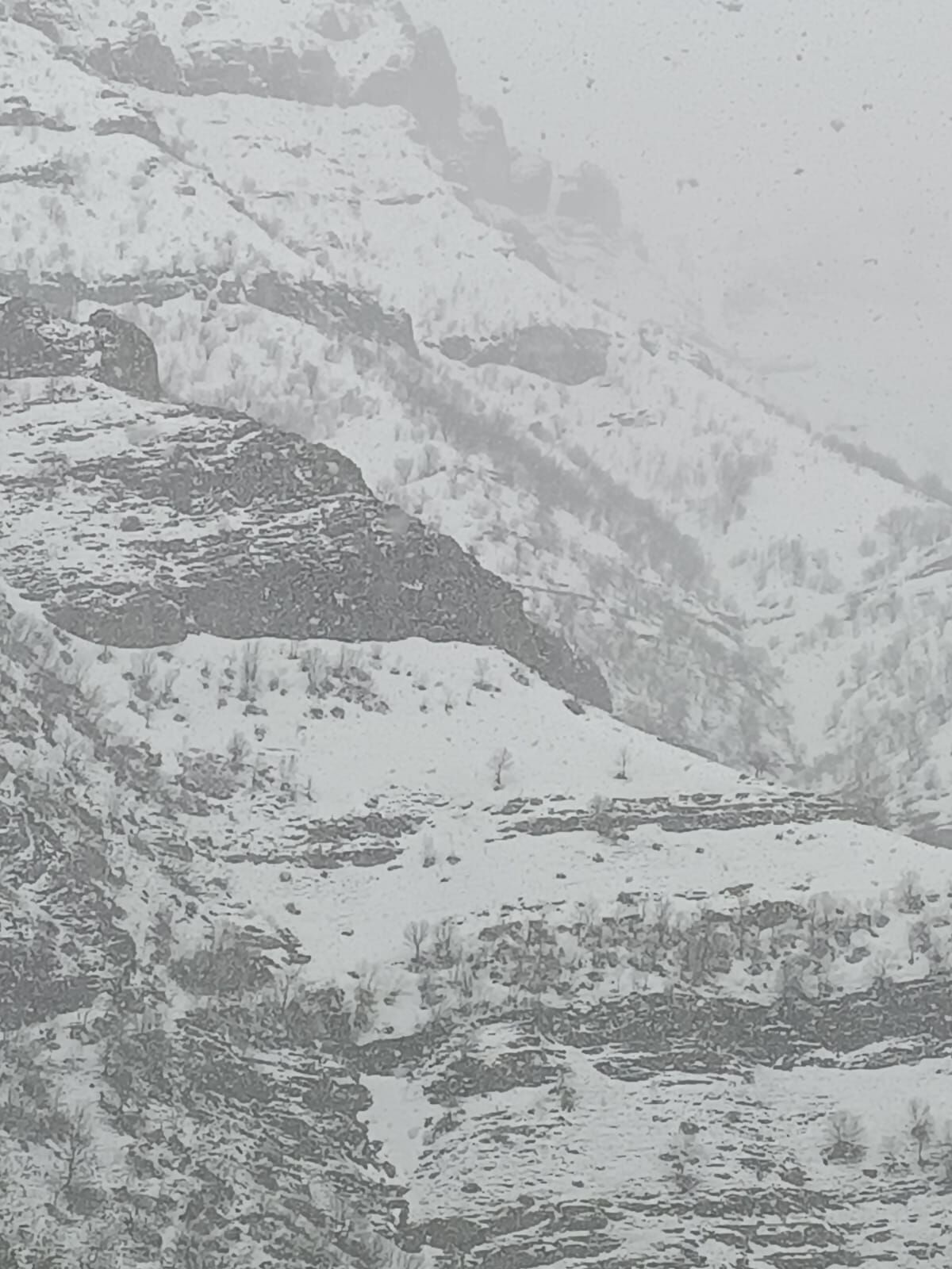 Whatsapp Image 2026 04 13 At 13.54.06