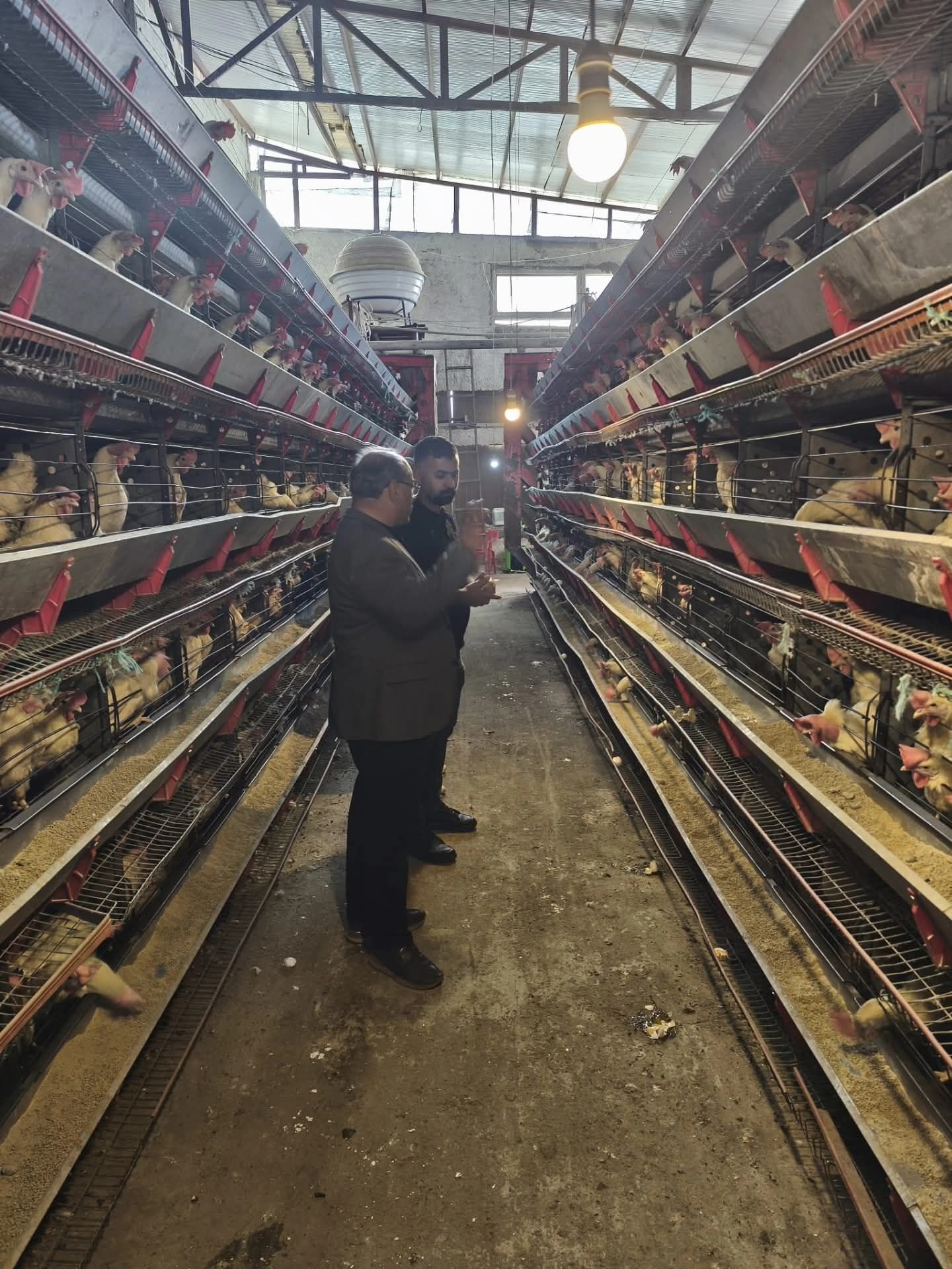 Nuh Tavukçuluk’ta Üretim Masaya Yatırıldı