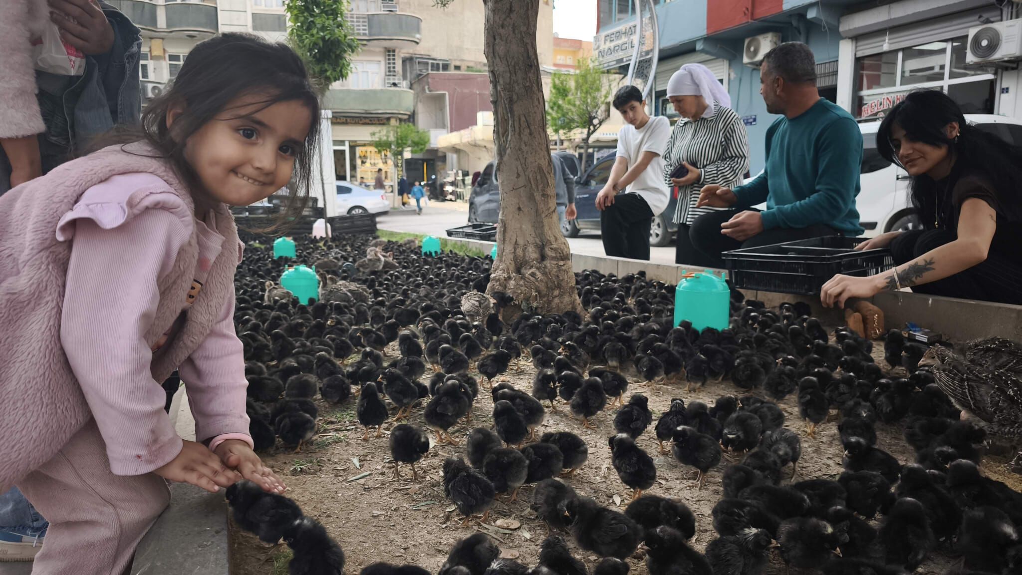 Whatsapp Image 2026 04 25 At 17.09.14 (1)