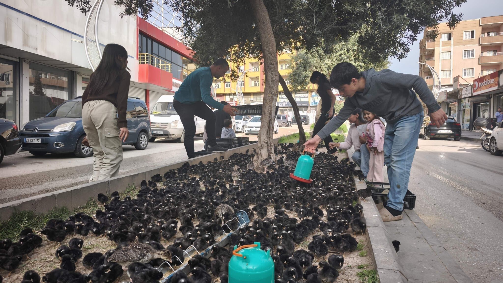 Whatsapp Image 2026 04 25 At 17.09.14 (2)