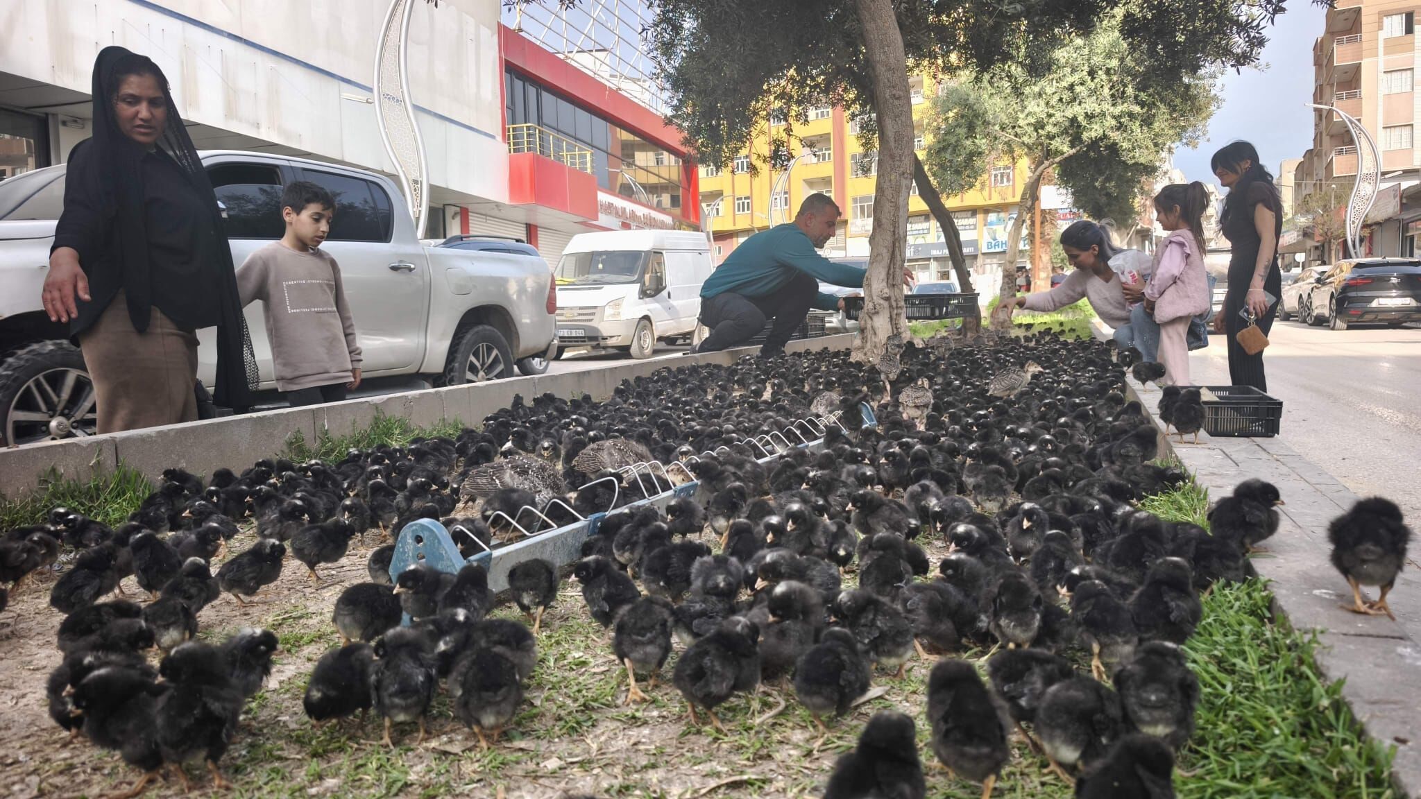 Whatsapp Image 2026 04 25 At 17.09.14 (3)