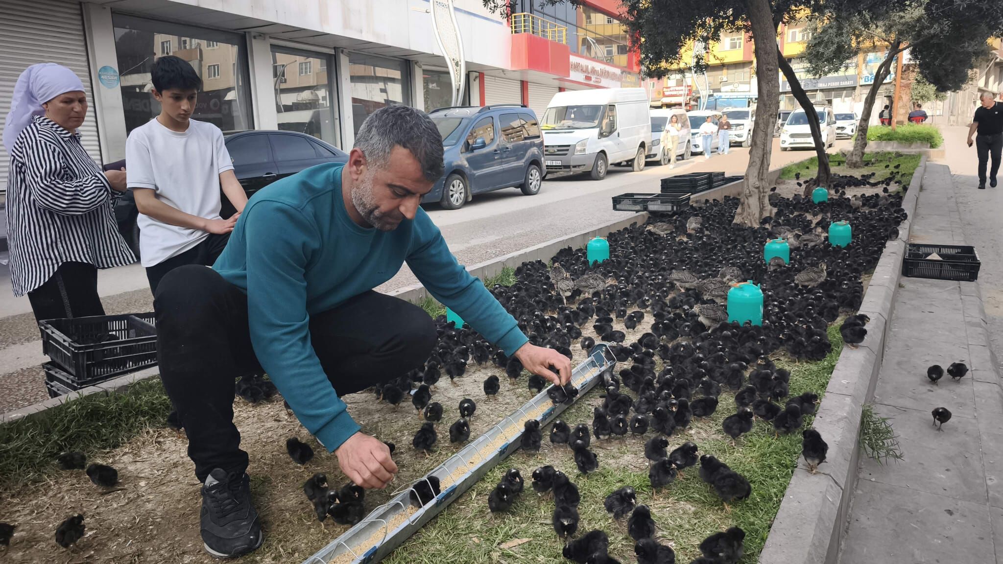 Whatsapp Image 2026 04 25 At 17.09.14