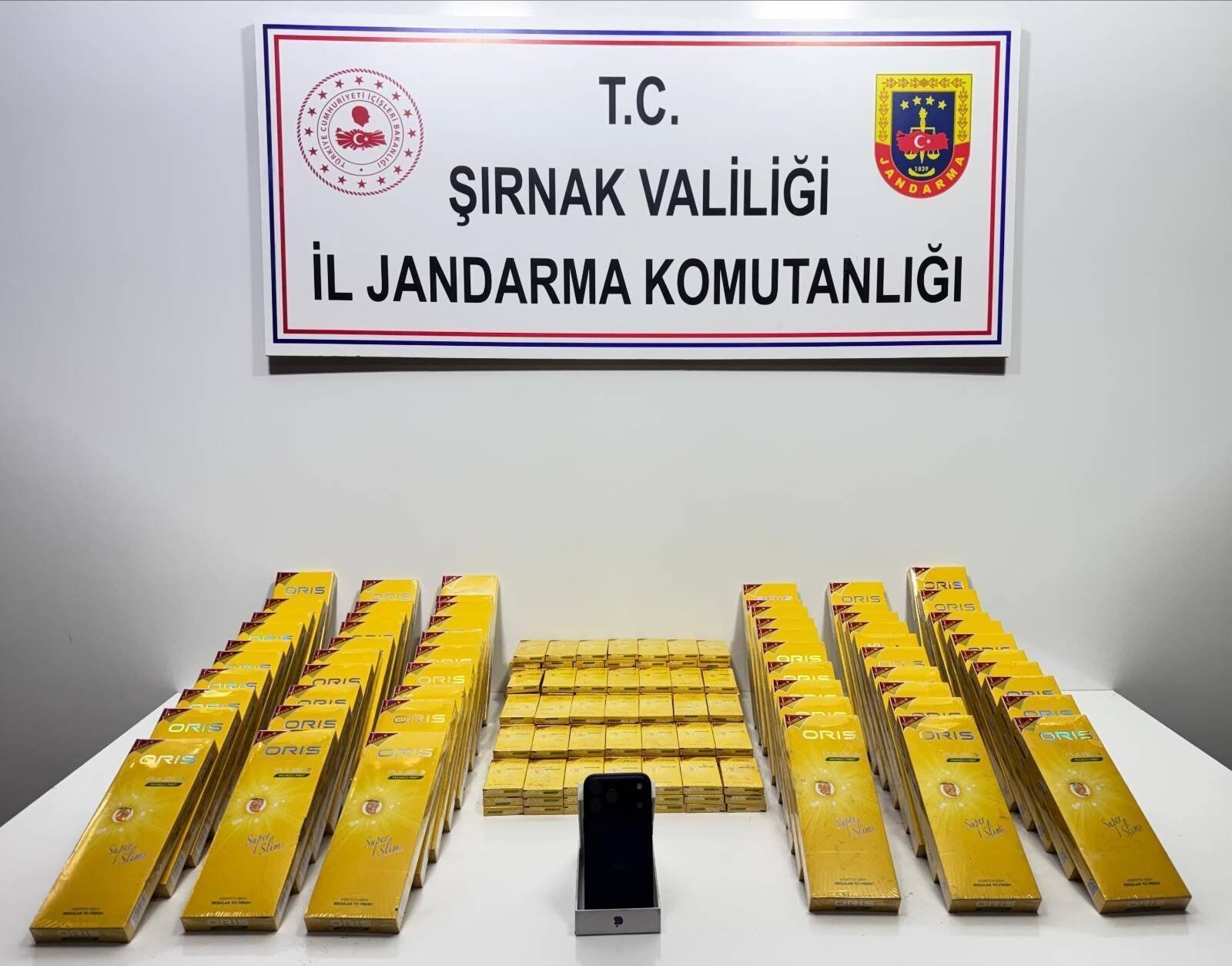 Şırnak’ta Operasyon, 1 Tutuklama
