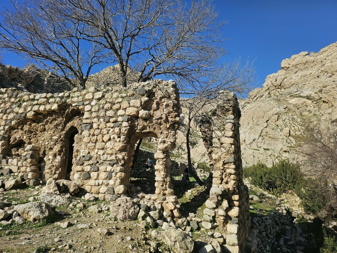 fege teyran-1