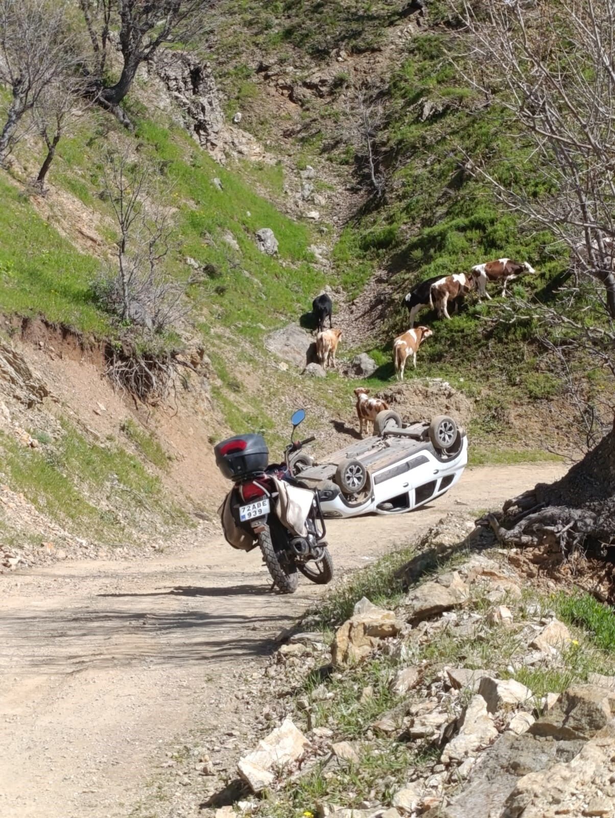 Pancar toplamaya gidenleri taşıyan araç takla attı, 4 yaralı