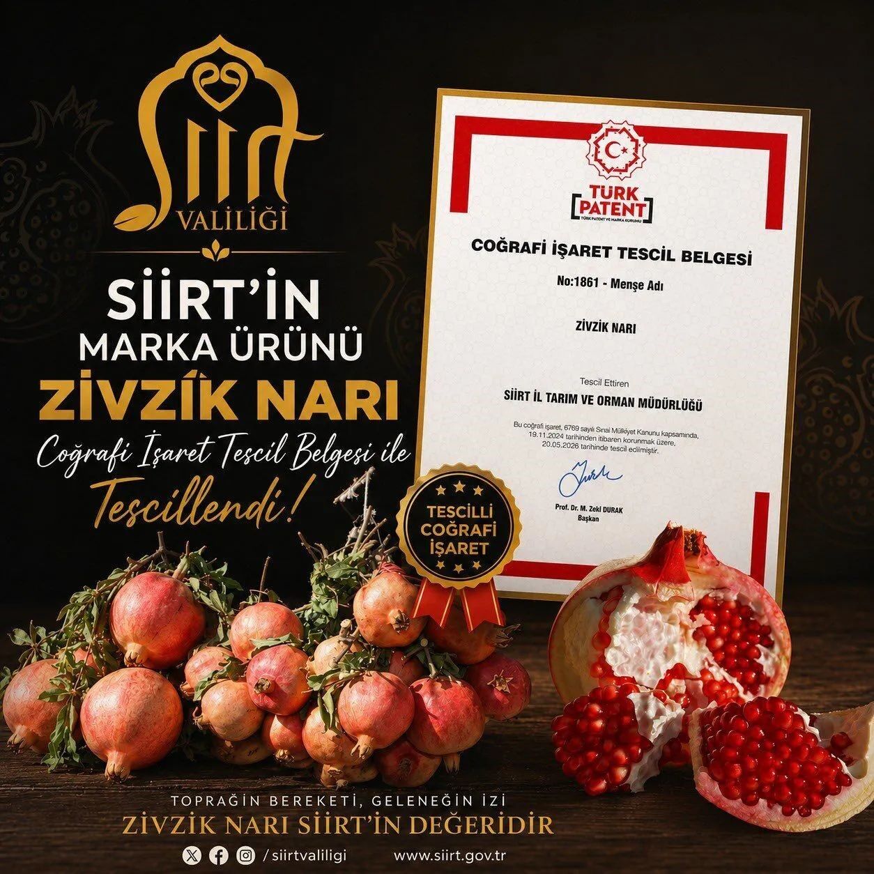 zivzik narı