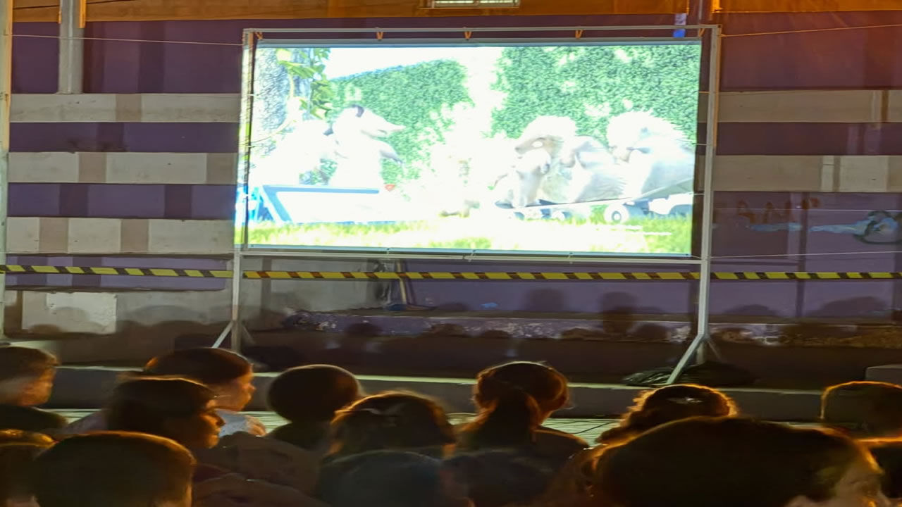 Açik Hava Si̇nemasi 4