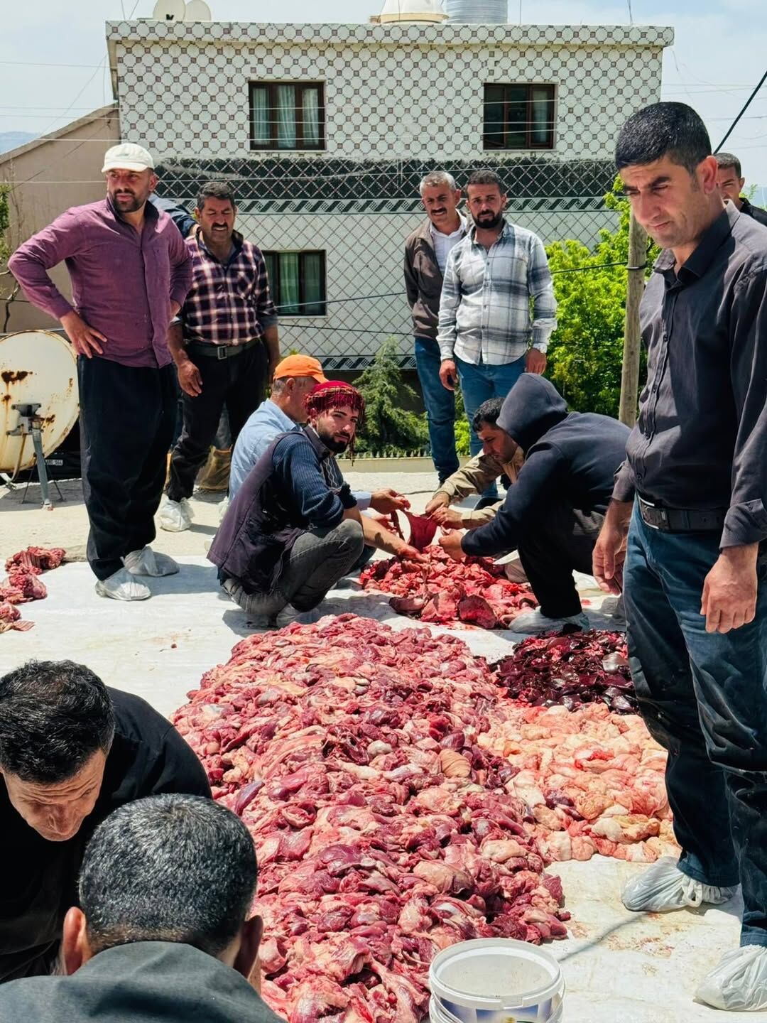 şırnak et kubn