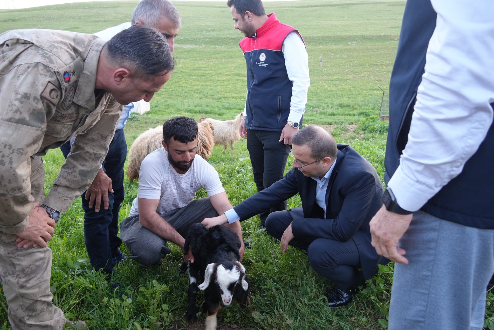Baycar Göçer