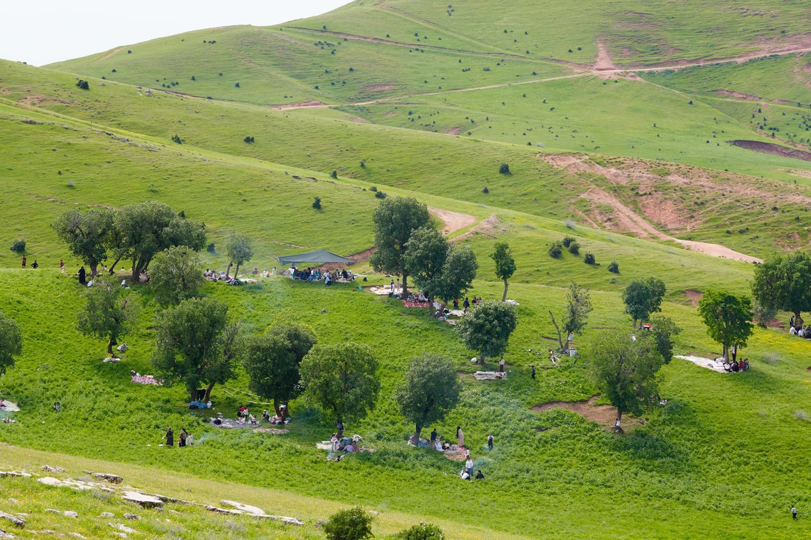 Çardaklı Köyü Piknik Alanı (1)