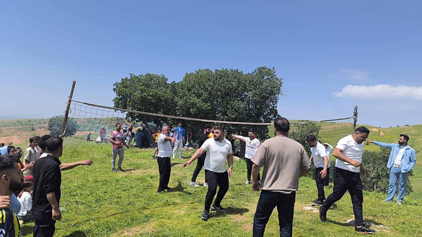 Çardaklı Köyü Piknik Alanı (2)
