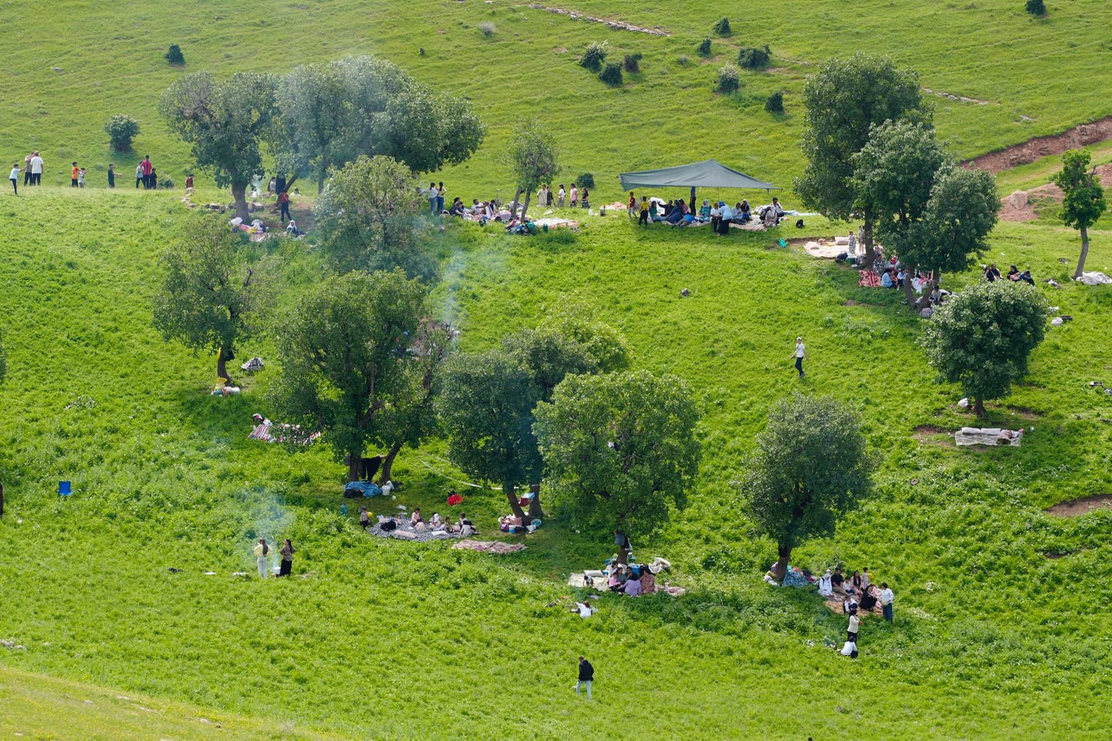 Çardaklı Köyü Piknik Alanı (4)