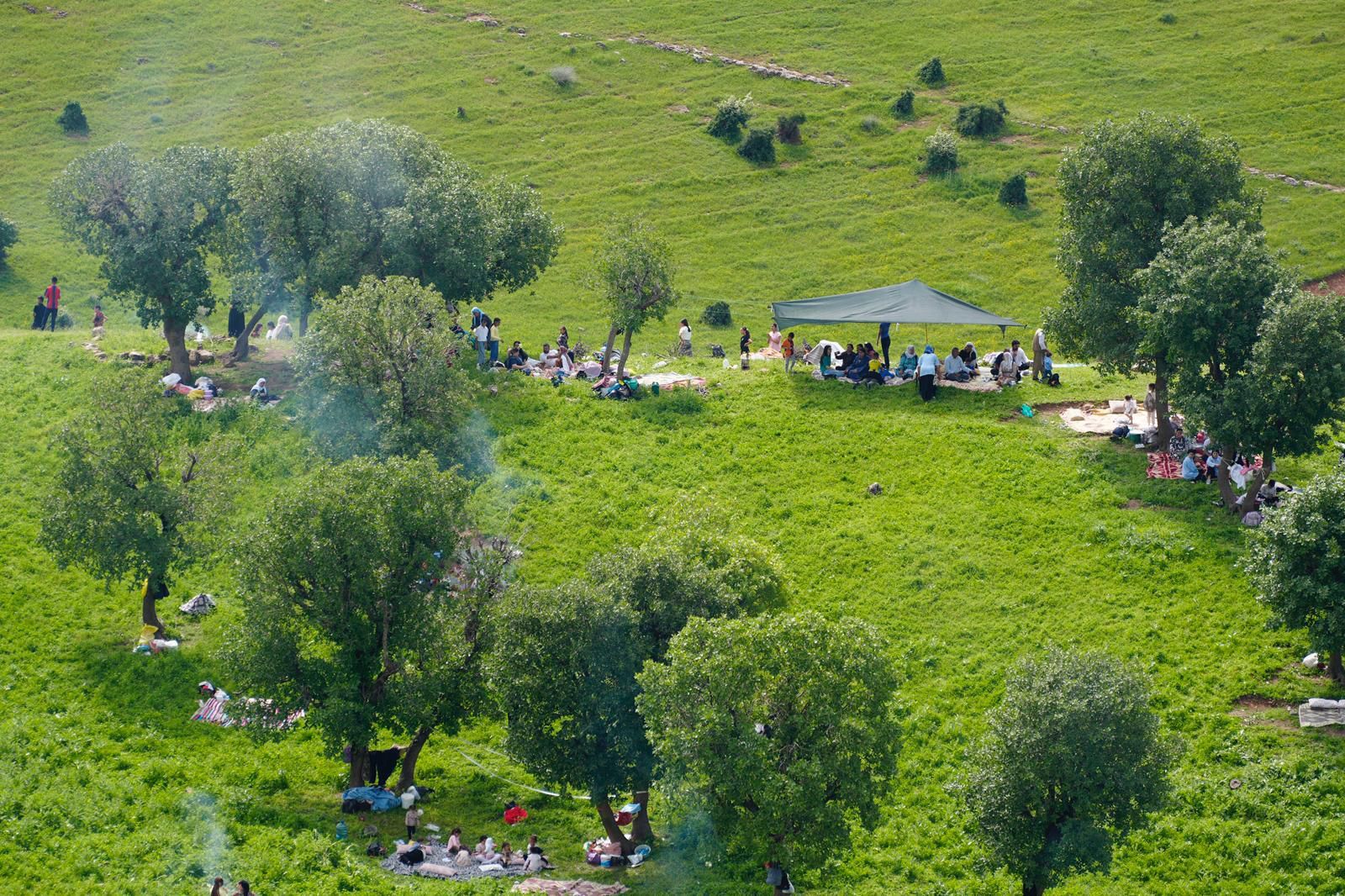 Çardaklı Köyü Piknik Alanı (7)