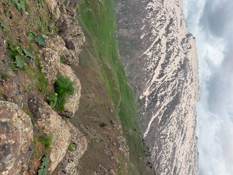 Doğa5