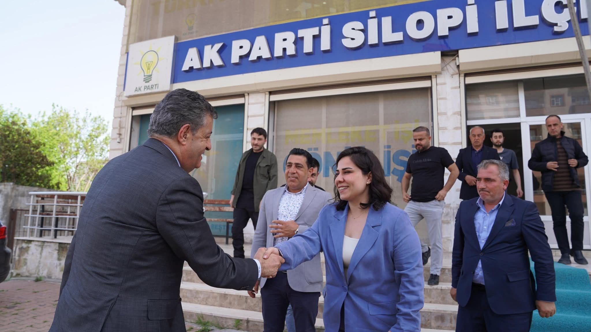 Ak silopi