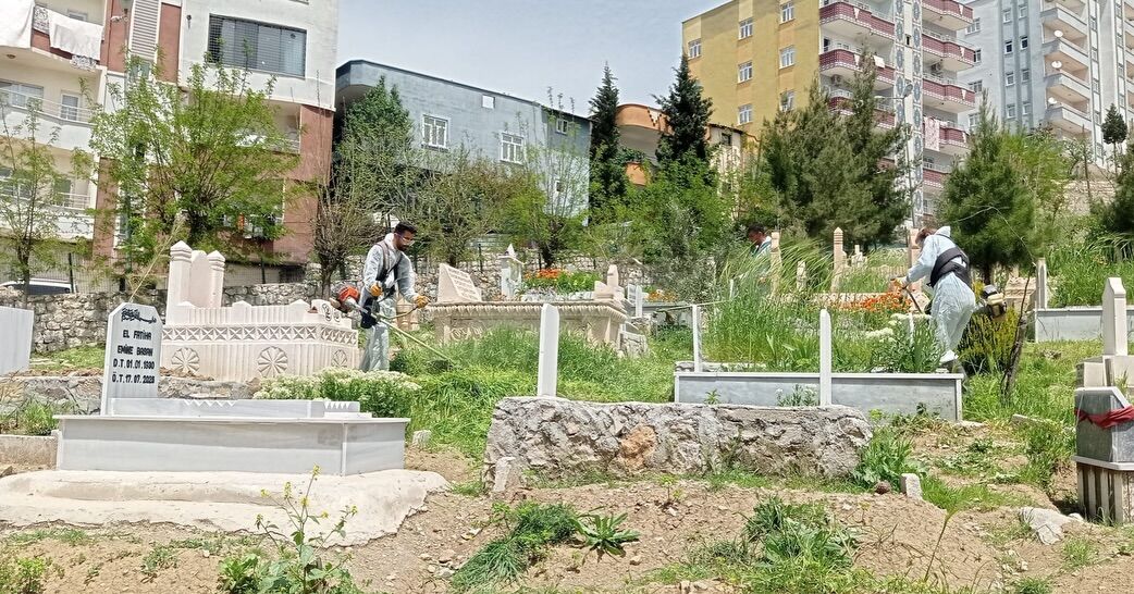 Park Ve Bahçe Müdürlüğü Ekiplerimiz Kent Mezarlıklarımızda Ve Yeşil Alanlarda Çim Biçme, Çevre D (1)