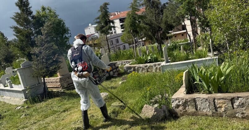 mezarlık tenizlik