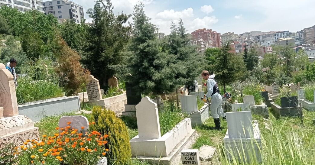Park Ve Bahçe Müdürlüğü Ekiplerimiz Kent Mezarlıklarımızda Ve Yeşil Alanlarda Çim Biçme, Çevre D (4)