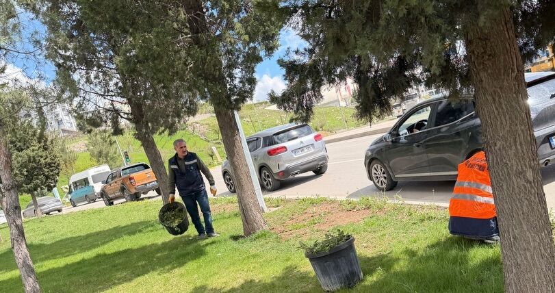 Park Ve Bahçe Müdürlüğü Ekiplerimiz Kent Mezarlıklarımızda Ve Yeşil Alanlarda Çim Biçme, Çevre D (5)