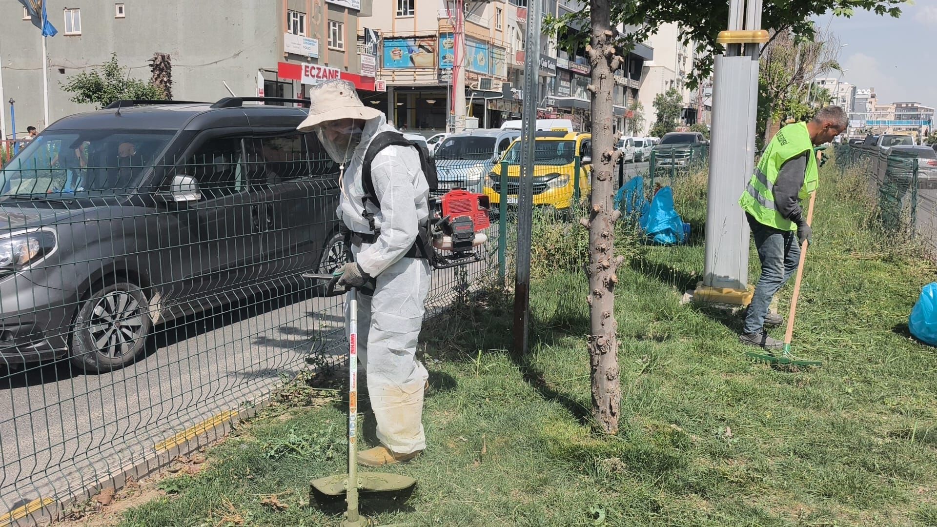 Refüj Baş (3)