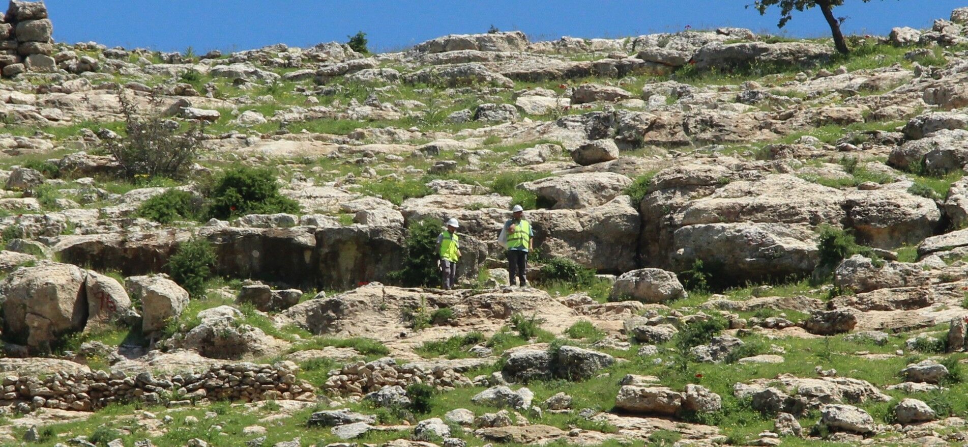 Ri̇skli̇ Kayalar (3)