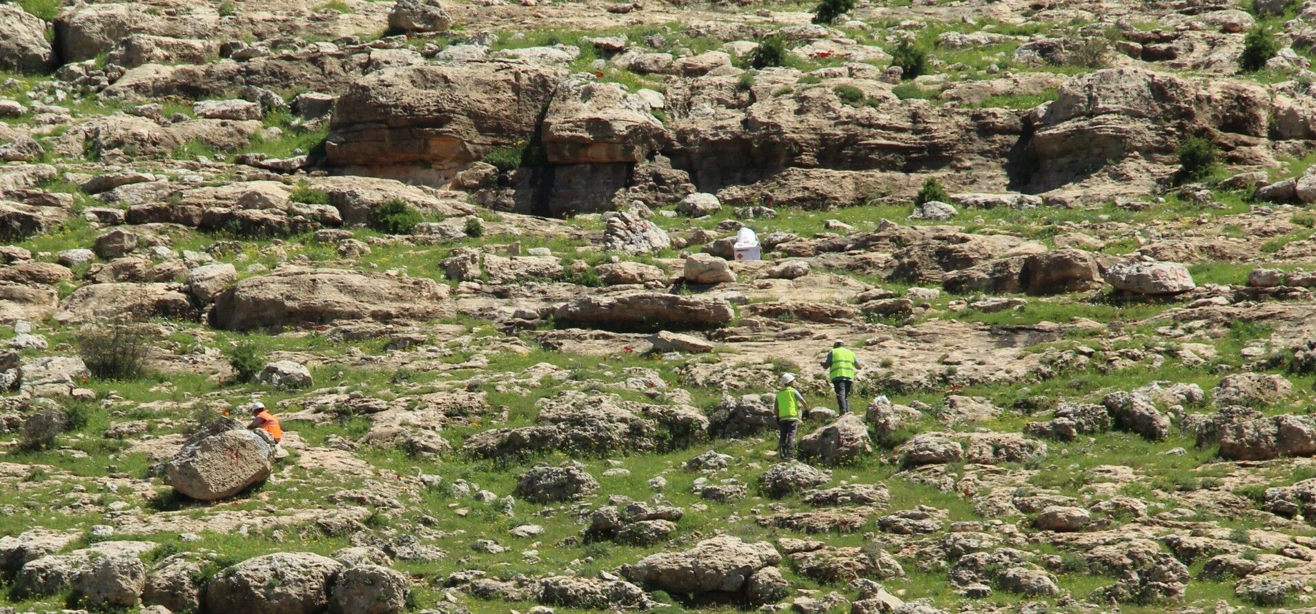 Ri̇skli̇ Kayalar (4)
