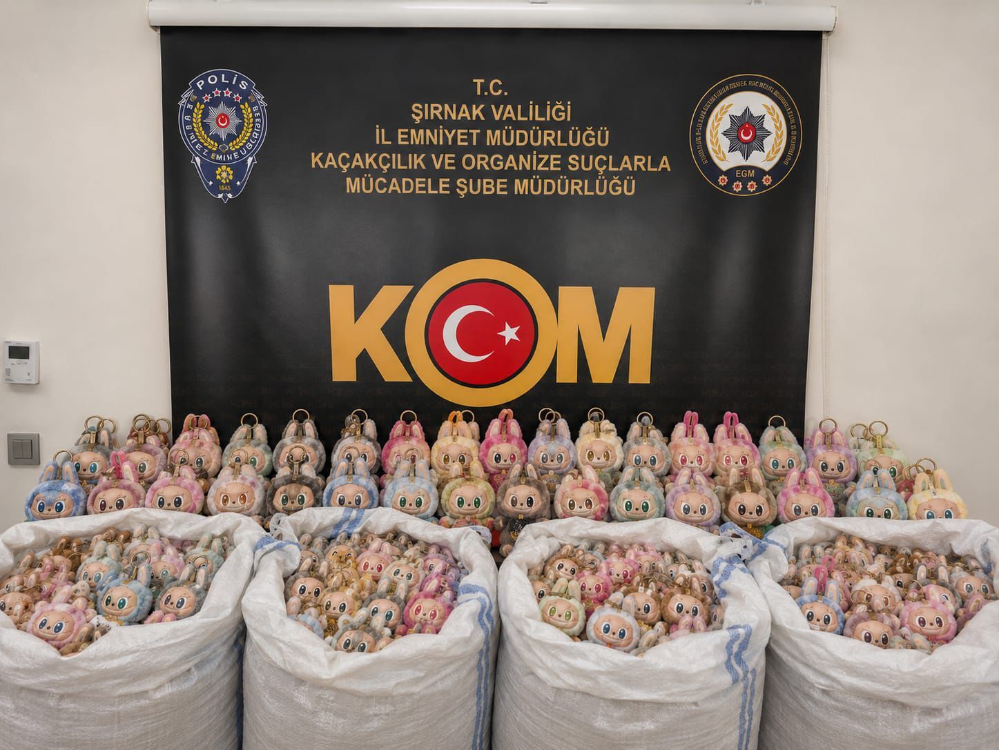 Şırnak Operasyon 3 Tutuklama 32 Operasyon (4)