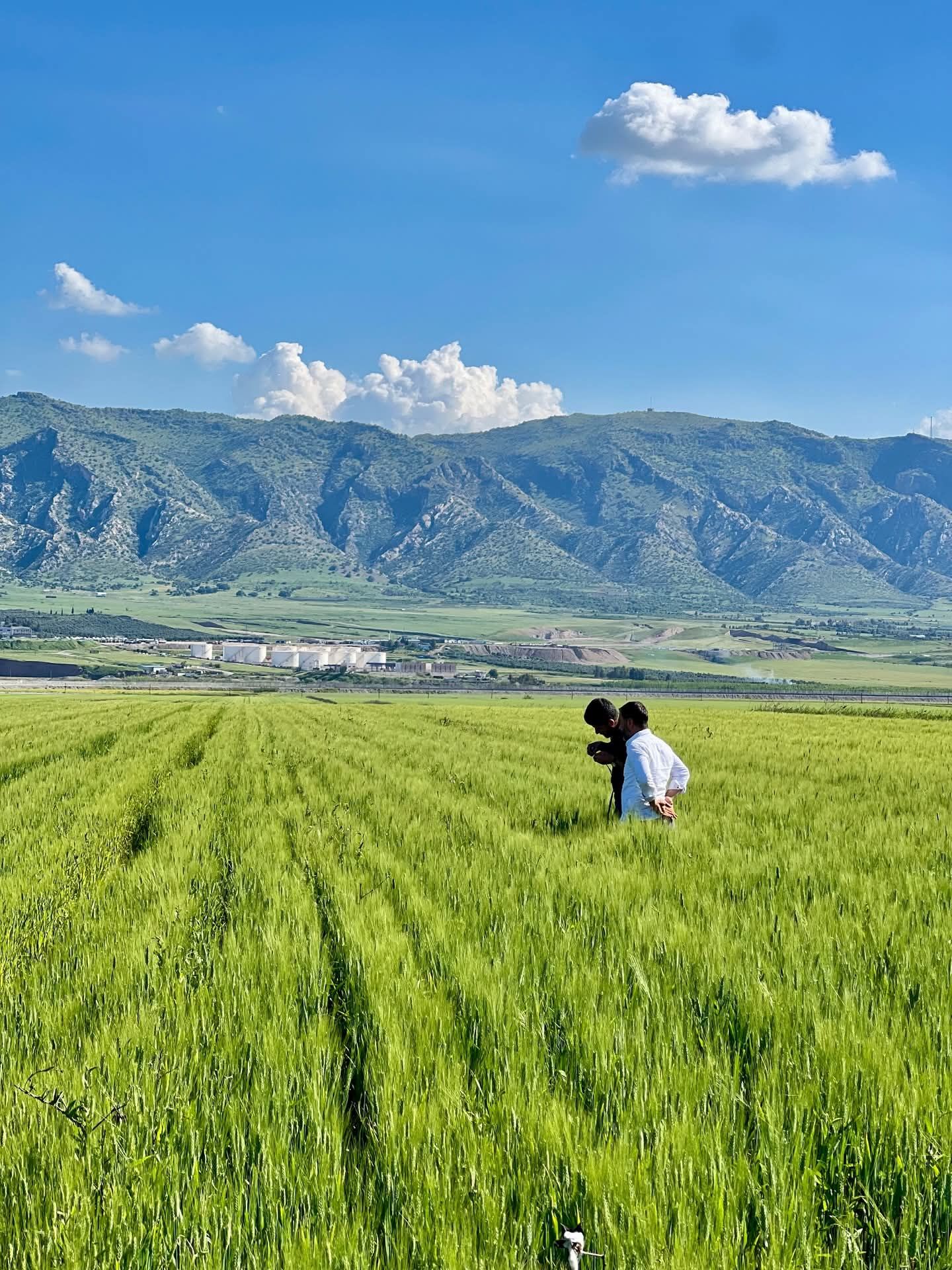 Tarim123 (3)