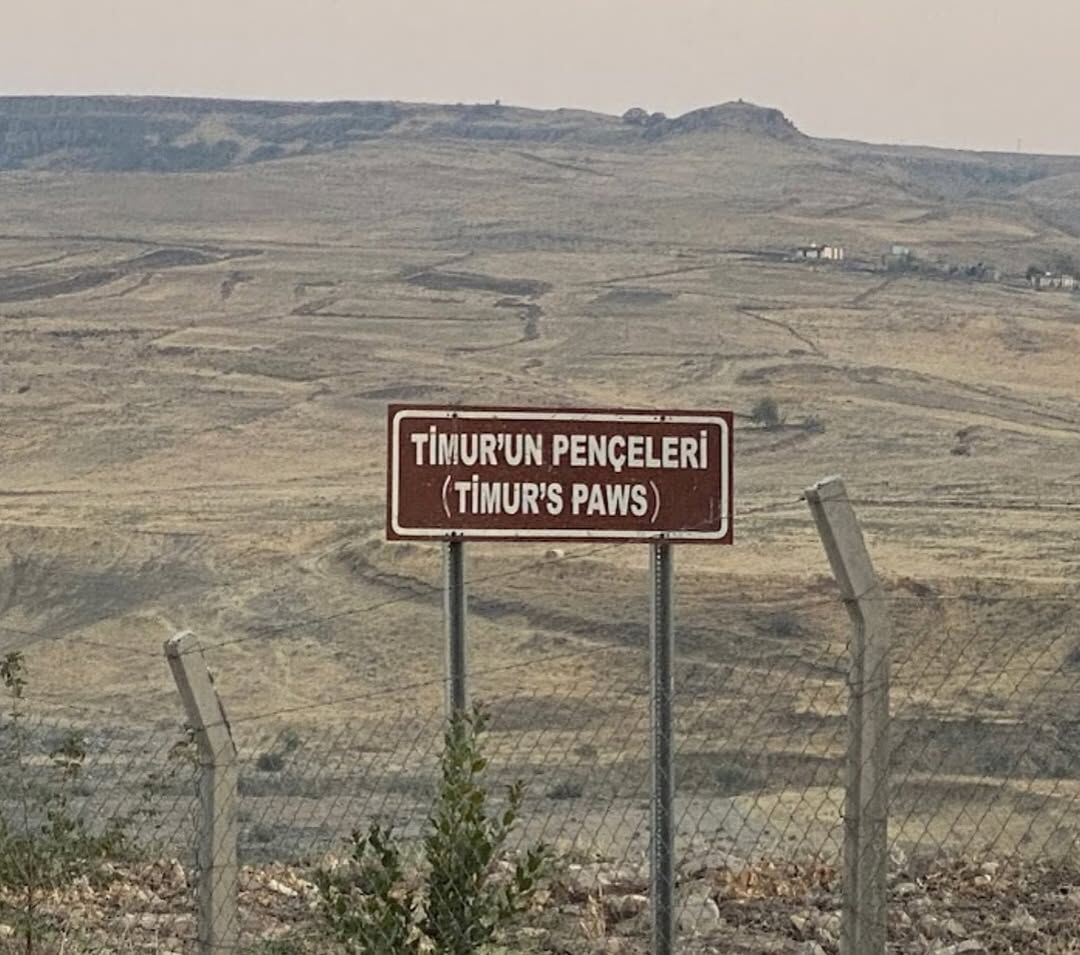 Timur’un Pençeleri Timu
