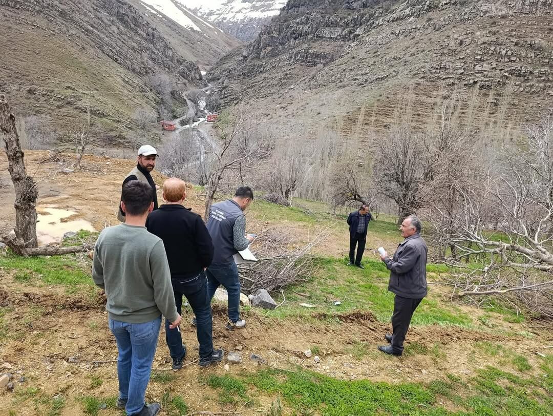 Uzungeçit çığ
