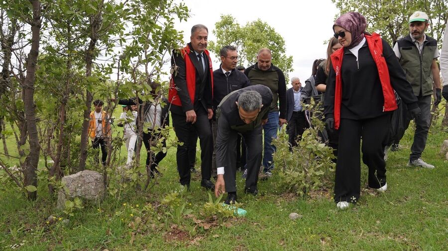 ORMAN ETKİNLK