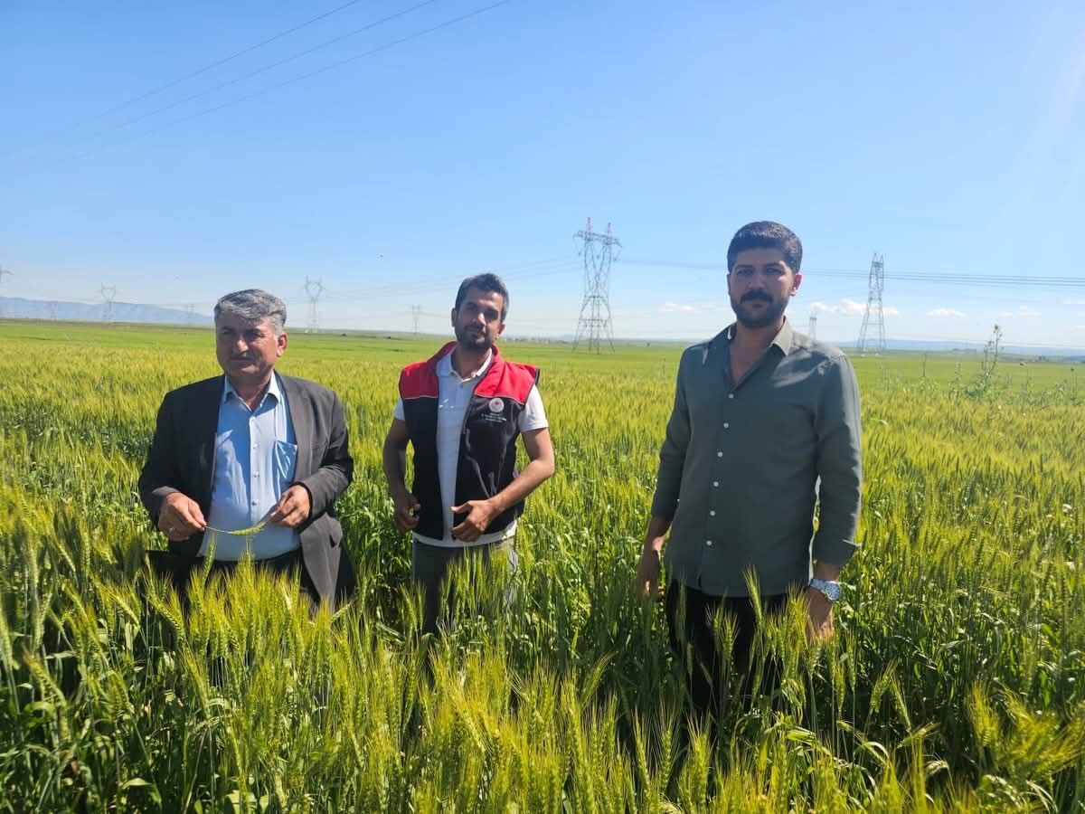 SİLOPİ TARIM-2