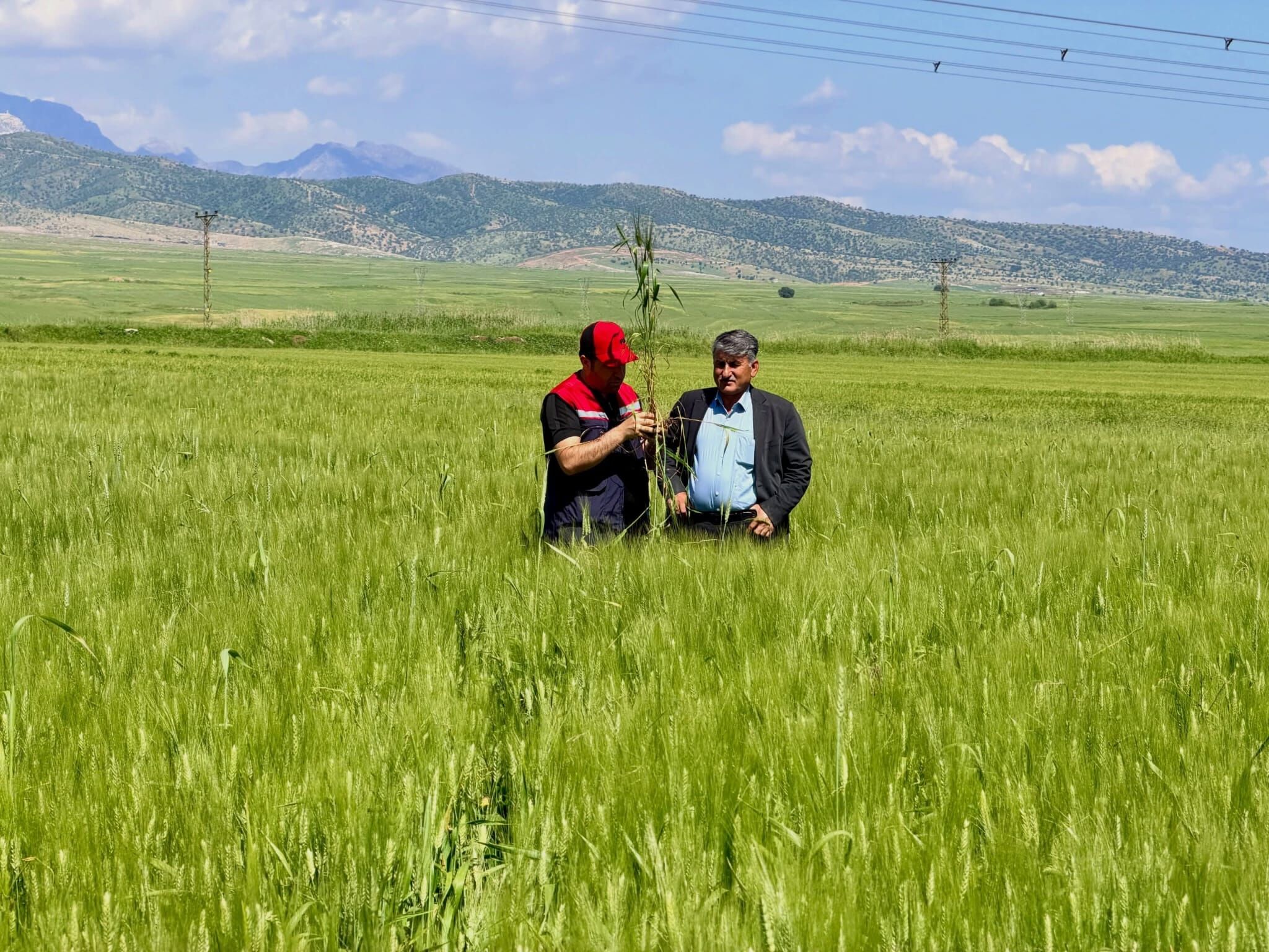 SİLOPİ TARIM-1
