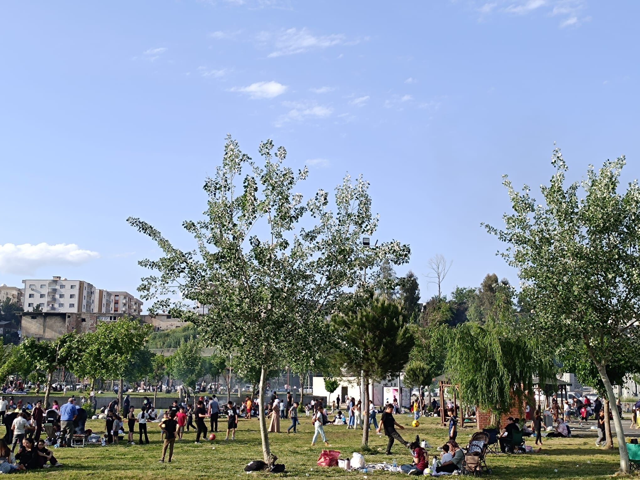 cizre park-1