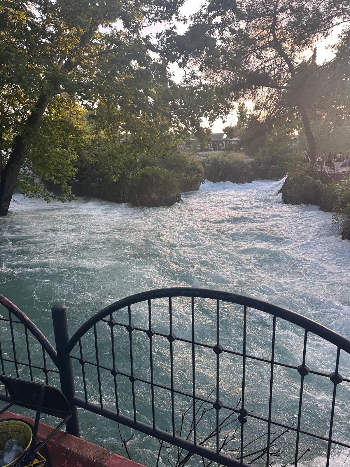 tarsus-3