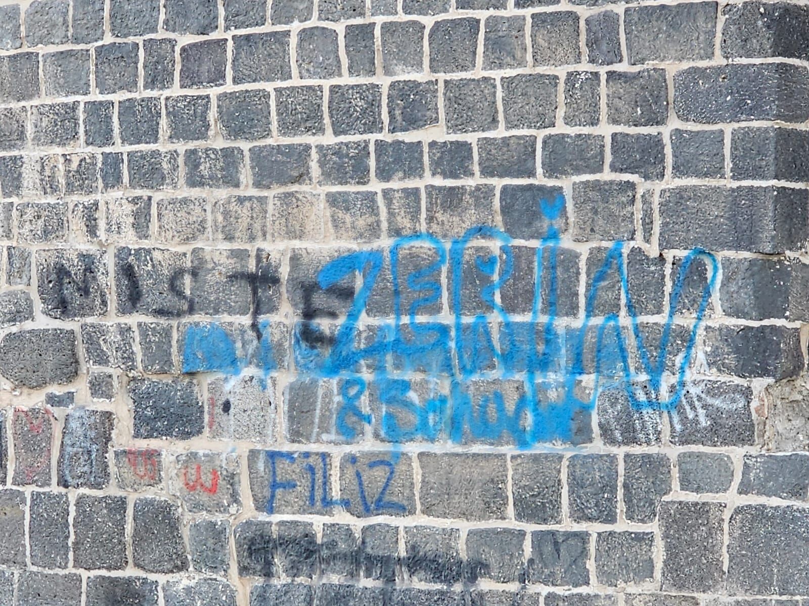 cizre duvar-2