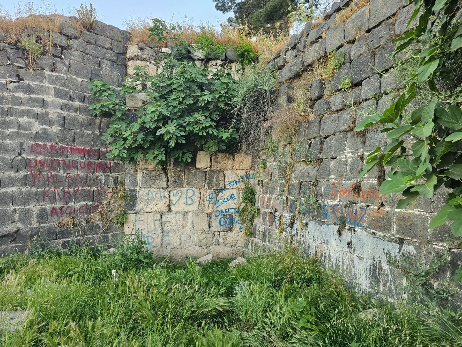cizre duvar-1