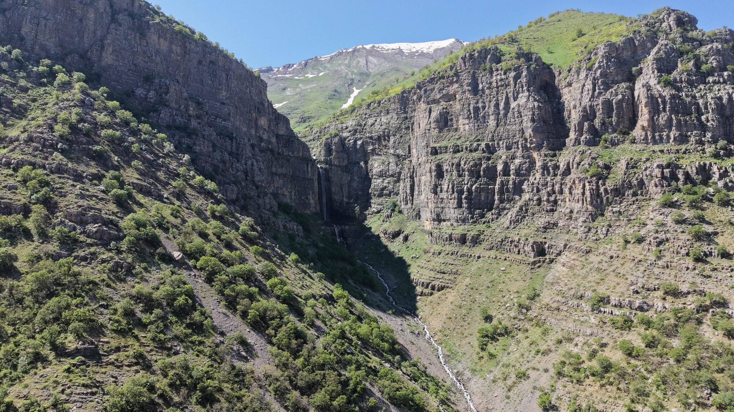 şelalee