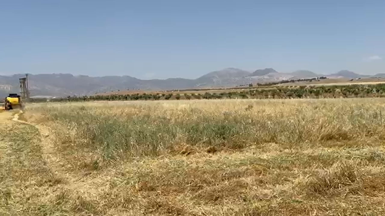 Çi̇ftçi̇ Mali̇yet 1