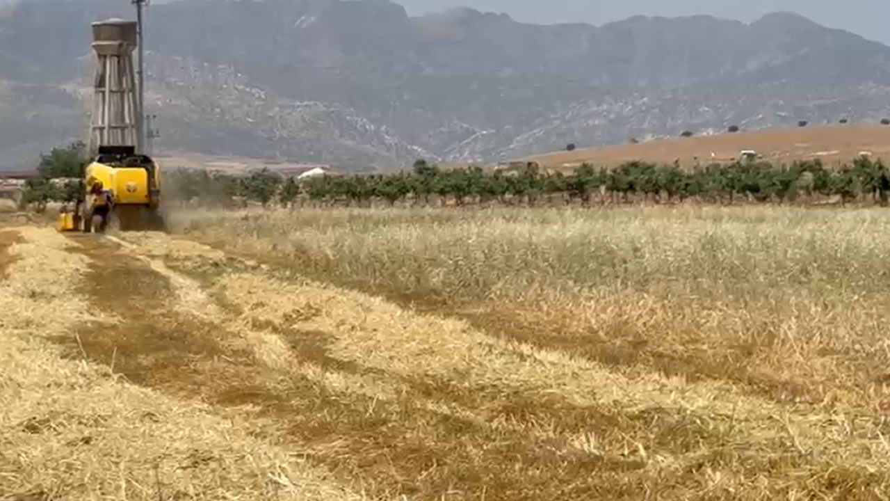 Çi̇ftçi̇ Mali̇yet 2